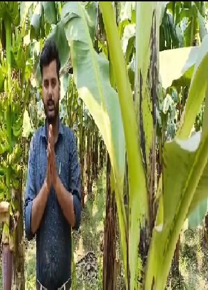 प्रोडक्ट डिटेल